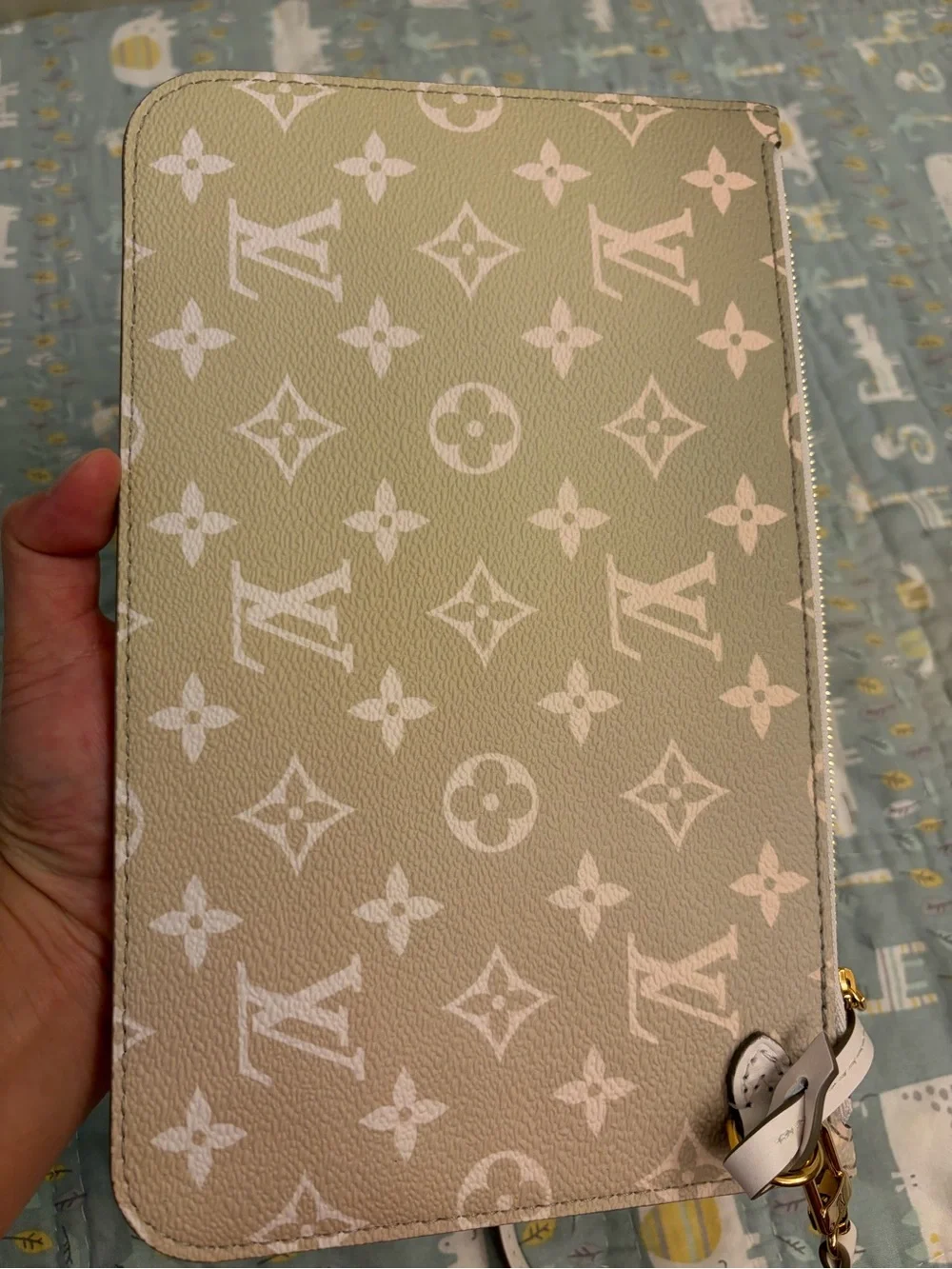 Louis Vuitton Limited Edition Neverfull MM Pouch (PRICE FIRM)